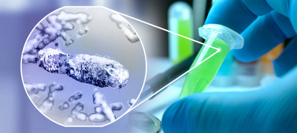 istock doctor's hand Infected lungs concept, tuberculosis mycobacterium infection presence, bacterial tuberculosis, lung cancer and lung disease, tuberculosis Department samples in the lab 2160696689