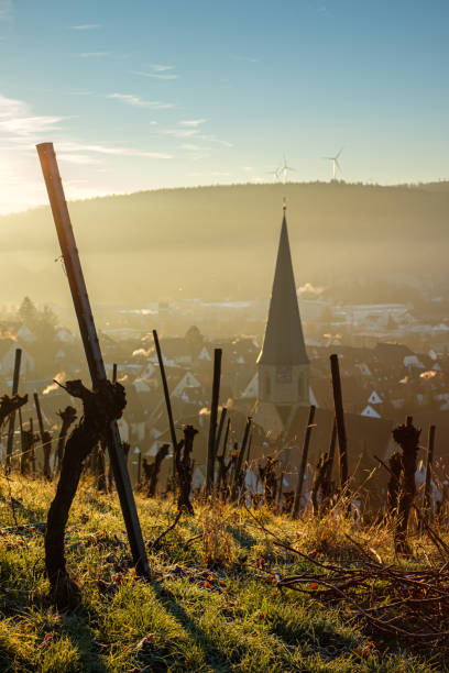 View over Bad Dürkheim
