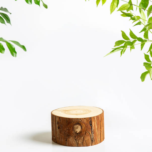 istock Authentic nature background concepts with tree stump podium display or rustic woodden stand product platform.minimalist presentation space 2160700677