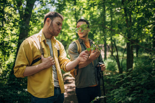 istock Two hikers exploring plants in a dense green forest. 2160704137