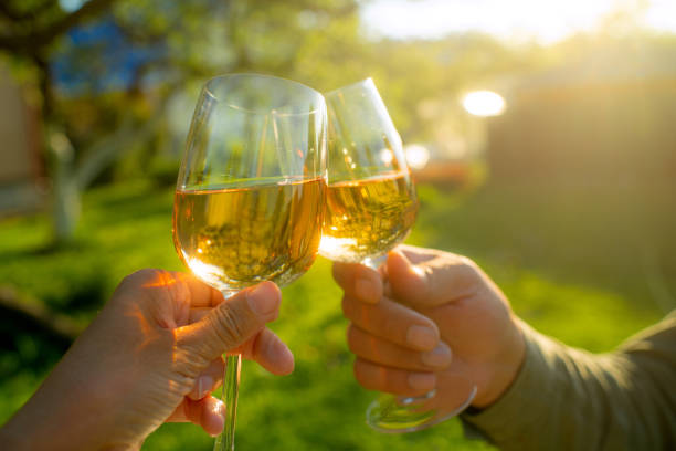 istock Couple drinking wine outdoors in summer sunset 2160708561