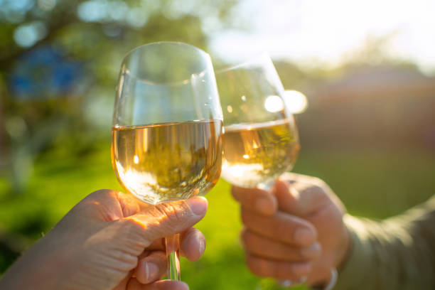istock Couple drinking wine outdoors in summer sunset 2160708779