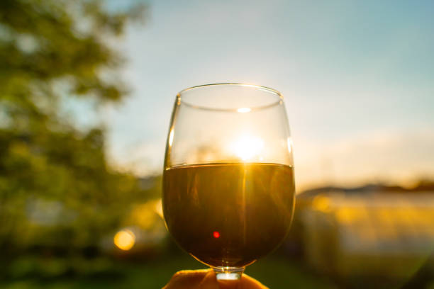 istock Hand holding a glass of red wine 2160710258