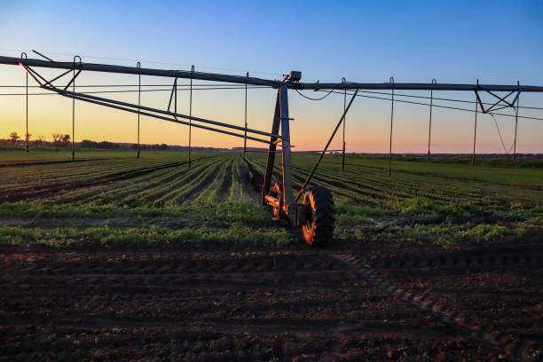istock Field with mobile Irrigation system for water supply. Automatic field watering system. 2160711628