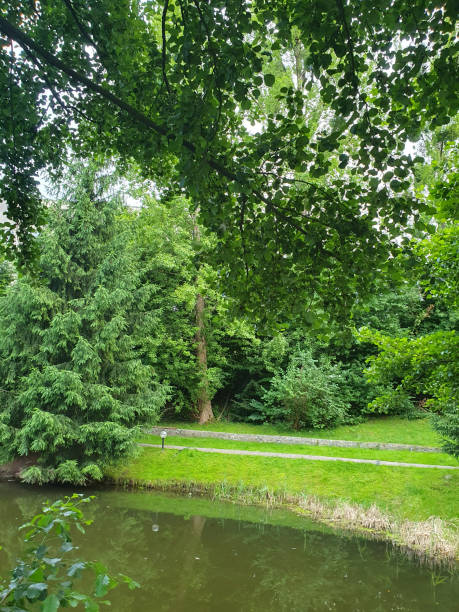 istock Green park on a summer day, green lush tree branches, lush grass, walking path 2160712888