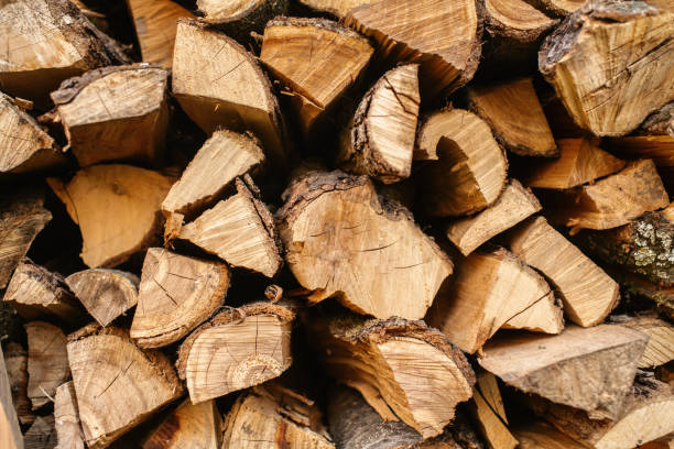 istock Pile of firewood at back-yard, abstract background 2160712970