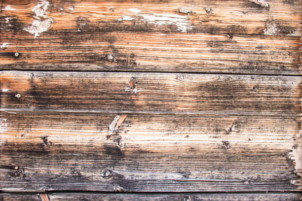 Old wood surface, black and grey wood texture with natural patterns