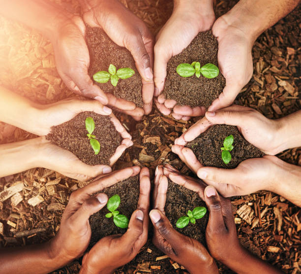 istock Hands, people and soil with plants, teamwork and environment with climate change activist. Closeup, outdoor and group with ecology, future and earth day with support, sustainability and eco friendly 2160715594