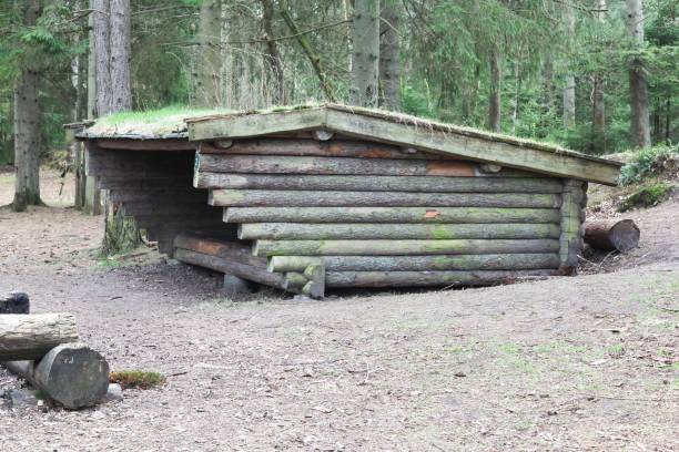 istock Shelter in a forest in Vrads, Denmark 2160719448
