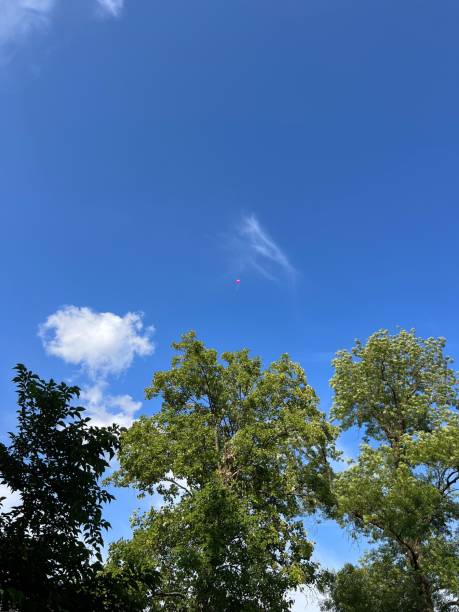 istock Bright blue sky with a red balloon floating above green trees on a sunny day 2160720591
