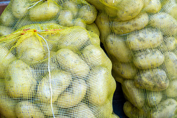 Agricultural market for selling vegetables