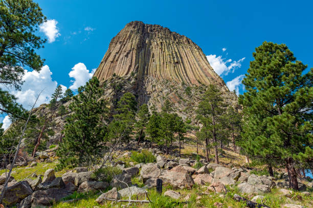 Devils tower monolith, Devils Tower national monument, Wyoming, USA.