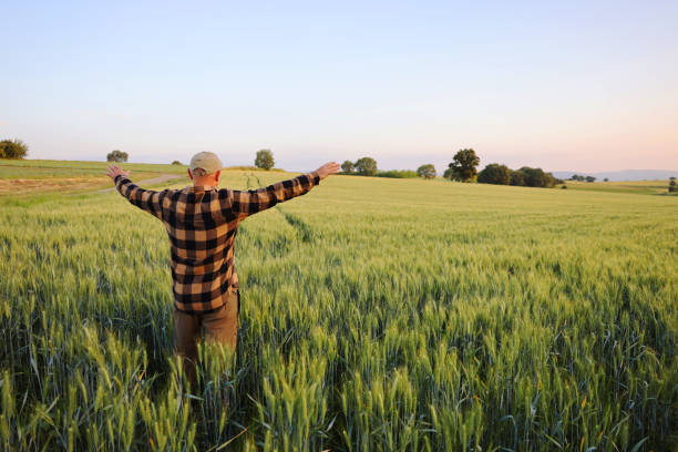 istock Farmer with arms outstretched standing in wheat field 2160729548