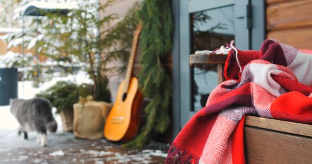 Cozy winter cabin scene with fluffy grey cat, acoustic guitar leaning, and warm red and white blanket on wooden bench by snow-covered outdoors, creating warm inviting atmosphere. Love for cats