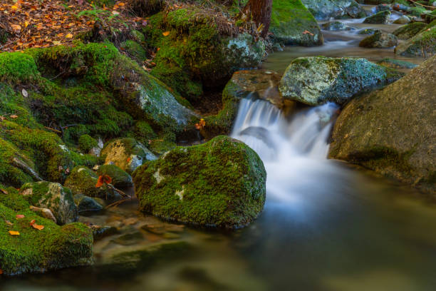 istock waterfall in mata da albergaria 2160733501