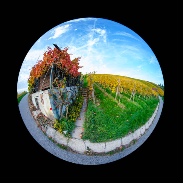 istock Hut in vineyard in autumn with fish-eye distortion 2160733669