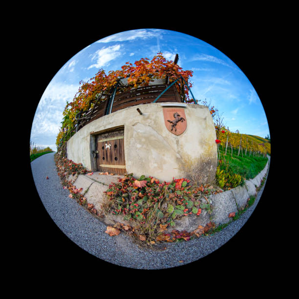 istock Road and hut with vines between vineyards with fish-eye distortion 2160733686