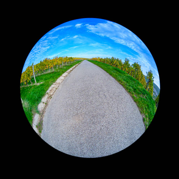 istock Huge road in vineyard with fish-eye distortion 2160733896