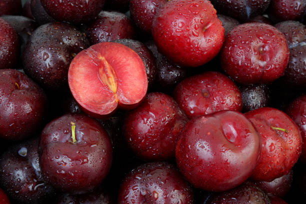 istock Plums fruits with water drops as background. 2160734741
