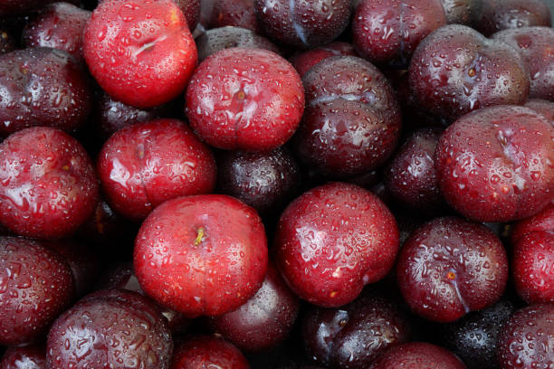 istock Plums fruits with water drops as background. 2160734765