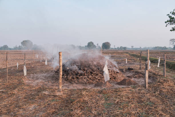 Burn wood into charcoal by covering the soil.