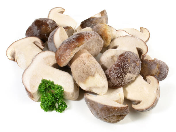 istock Frozen Boletus Edulis on white Background 2160738885