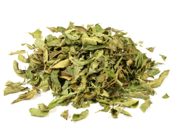 istock Dried Lemon Verbena on white Background 2160738933