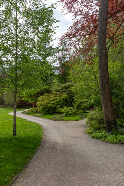 istock Garden in Bad Pyrmont in Germany 2160742529
