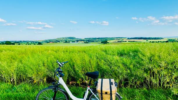Bicycle in front of wheat field