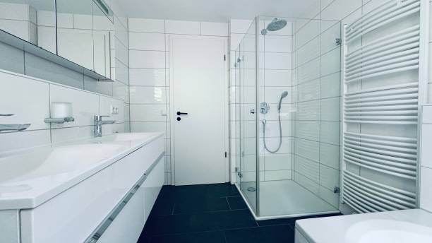 Renovated apartment, bath