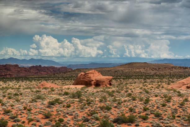 istock valley of fire landscape Moapa Valley Nevada 2160745295