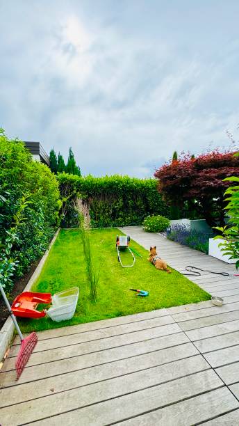 istock Gardenworks with dog and lawn mower 2160745618