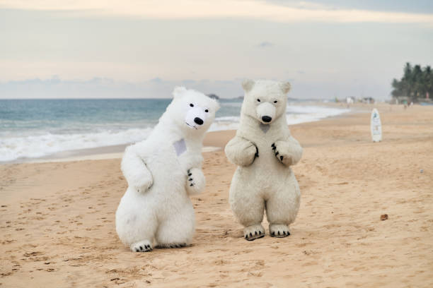 istock Animators dressed as polar bears entertain people on the beach 2160747529