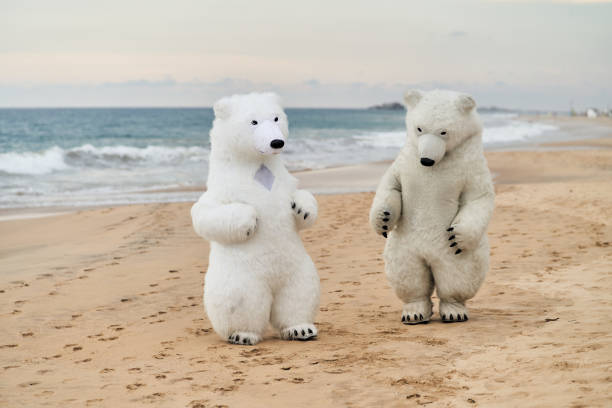 Animators dressed as polar bears entertain people on the beach. High quality photo