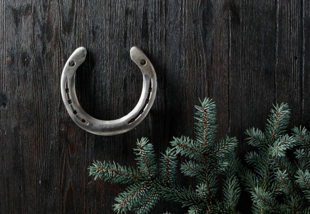 Old horseshoe and spruce branches on a black wooden background. Copy space.