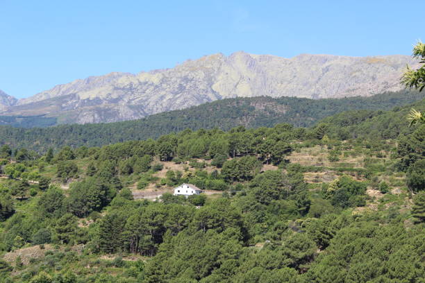 The south face of the Sierra de Gredos is known for its stunning natural beauty and challenging hiking trails. Located in the heart of Spain, this area offers spectacular views of rugged mountains and serene valleys. Visitors can explore the famous Circo de Gredos, a natural amphitheater of glacial origin, and Pico Almanzor, the highest point of the mountain range. The Sierra de Gredos is a favorite destination for nature and mountaineering lovers in Spain.