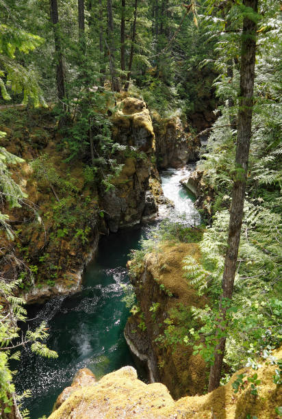 istock Small natural spring waterfall in a wood 2160753404