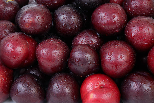 istock Plums fruits with water drops as background. 2160755060