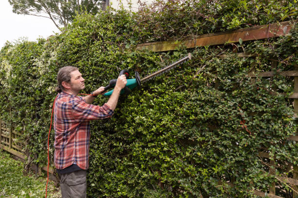 istock Man trimming a hedge in a UK garden 2160759923