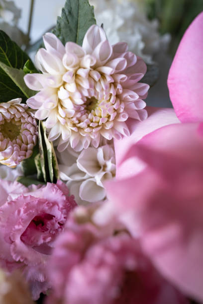 istock Delicate anemone peony flowers on a light background with copy space. Romantic composition. Wedding invitation. International Women's Day, Mother's Day concept 2160765121