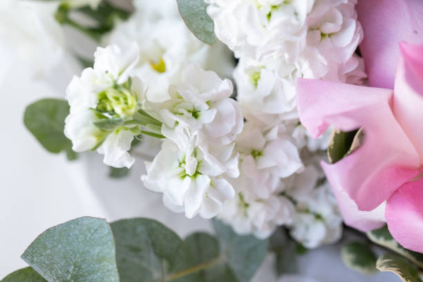 istock Delicate anemone peony flowers on a light background with copy space. Romantic composition. Wedding invitation. International Women's Day, Mother's Day concept 2160765161