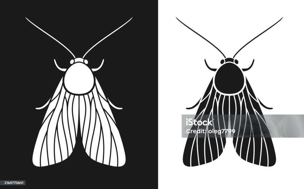 Moth Abstract Drawing Moth Isolated Moth On White Background Stock Illustration - Download ...