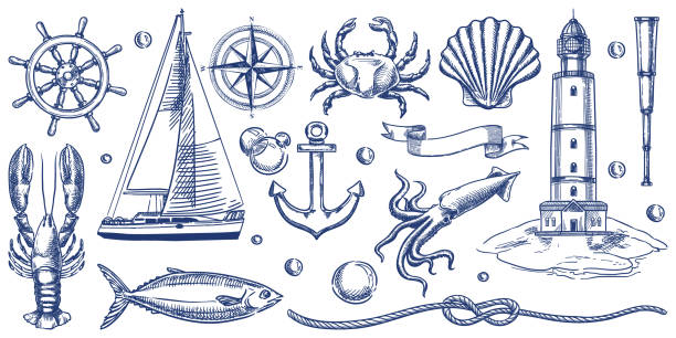 illustrations, cliparts, dessins animés et icônes de ensemble d’icônes vintage nautiques. illustration vectorielle dessinée à la main croquis monochrome de phare, navire, ancre, animaux marins - navigation à voile