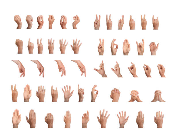 istock Big gestures set, different hand signs pack isolated on white background 2160774057
