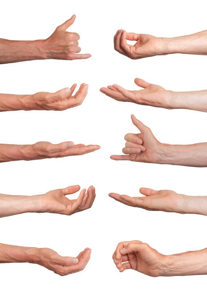 Arms gesturing, reaching, outstretched palms for holding, giving, taking, hand sign isolated on Arms gesturing, reaching, outstretched palms for holding, giving, taking, hand sign isolated on white background, set. left handed catcher stock pictures, royalty-free photos & images