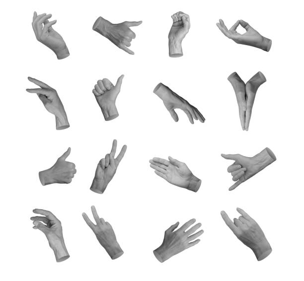 istock Taking, grabbing, different gestures, hand signs, finger symbols, body language isolated on white 2160774070