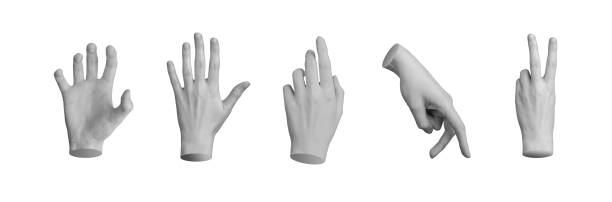Palm grabbing, dorsal hand, touching finger, walking, victory sign set, isolated on white background Palm grabbing, dorsal hand, touching finger, walking, victory sign set, isolated on white background. left handed catcher stock pictures, royalty-free photos & images