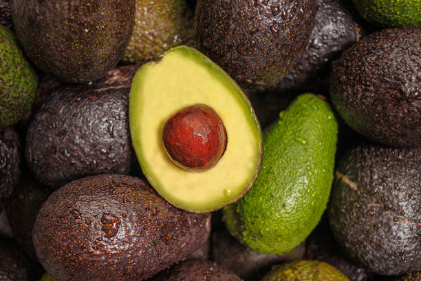 Chilean Hass and Fuerte Paltas close-up with cut palta