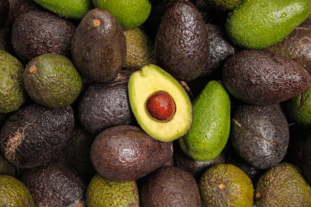 Chilean Hass and Fuerte Paltas with cut palta