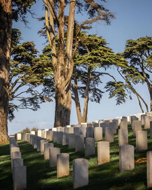 istock Serene cemetery with rows of headstones under tall trees on a sunny day 2160781486